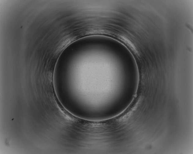 X0000091900849200709121457