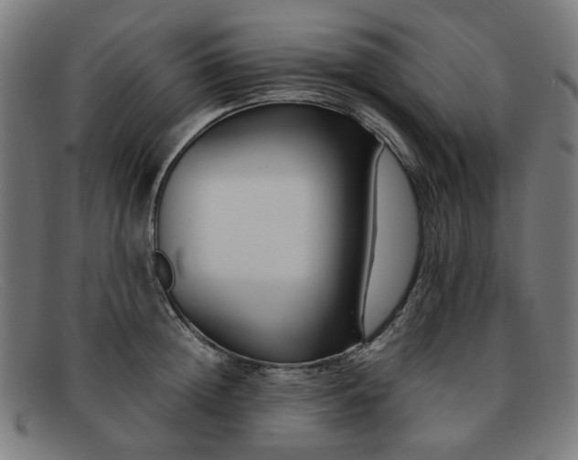 X0000091900852200709121457