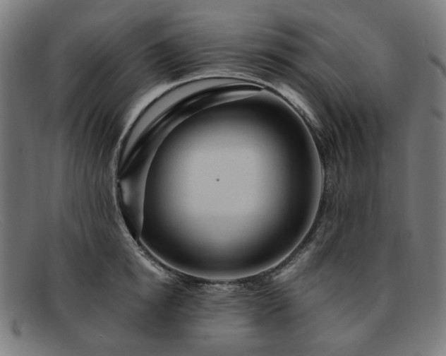 X0000091900854200709121457