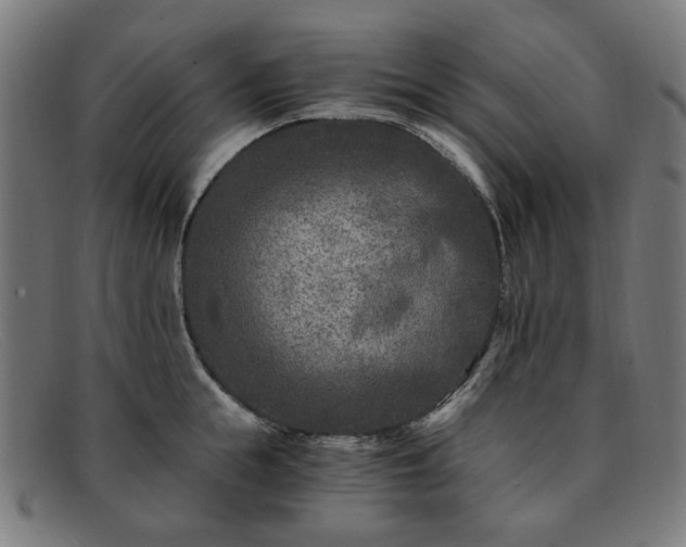 X0000091900855200709121457