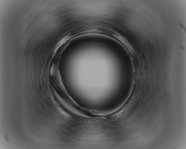 X0000091900858200709121457