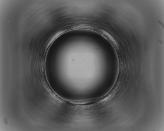 X0000091900860200709121457