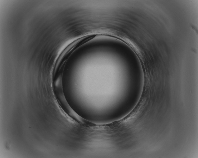 X0000091900862200709121457