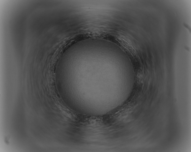 X0000091900865200709121457