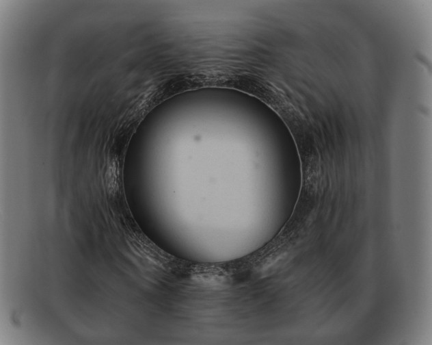 X0000091900866200709121457