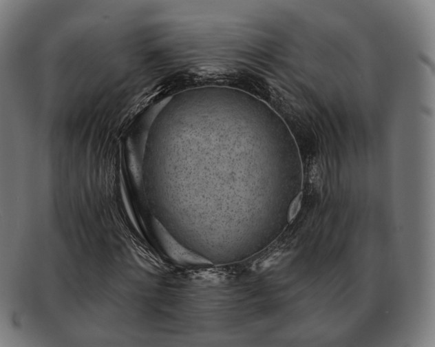 X0000091900868200709121457