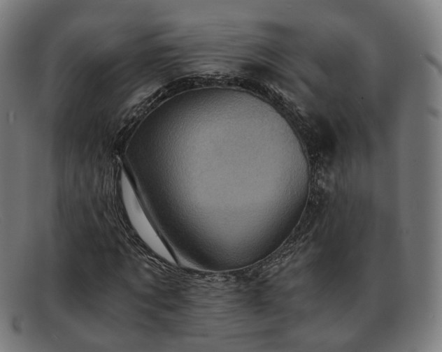 X0000091900869200709121457