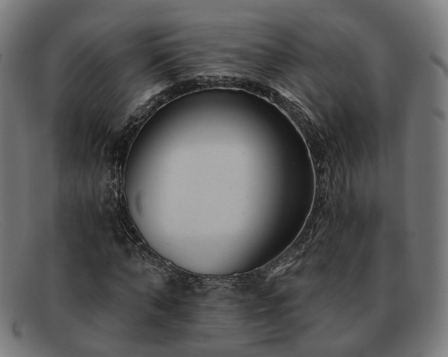 X0000091900870200709121457