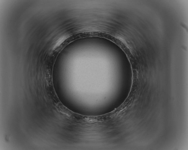 X0000091900871200709121457