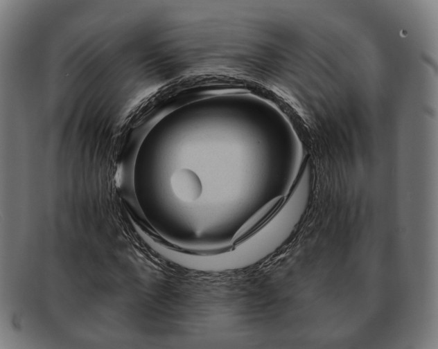 X0000091900872200709121457