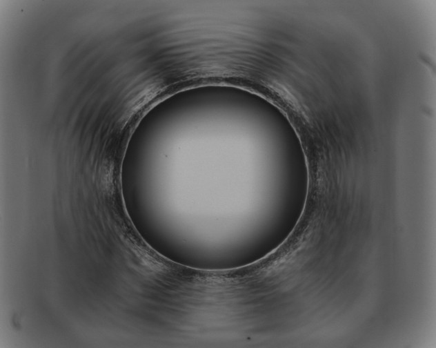 X0000091900873200709121457