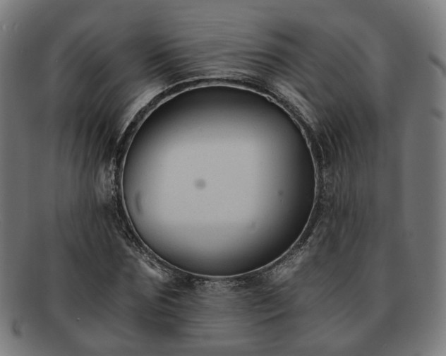 X0000091900875200709121457