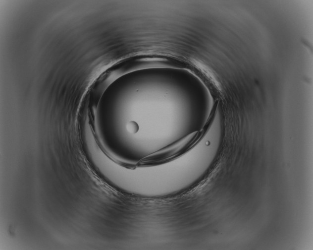 X0000091900876200709121457