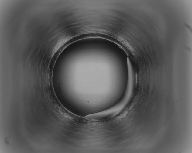 X0000091900877200709121457