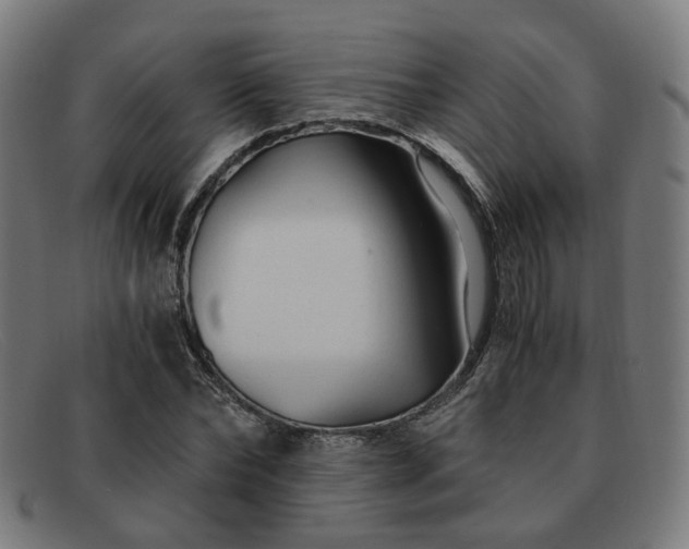 X0000091900878200709121457