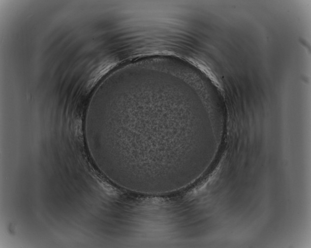 X0000091900881200709121457