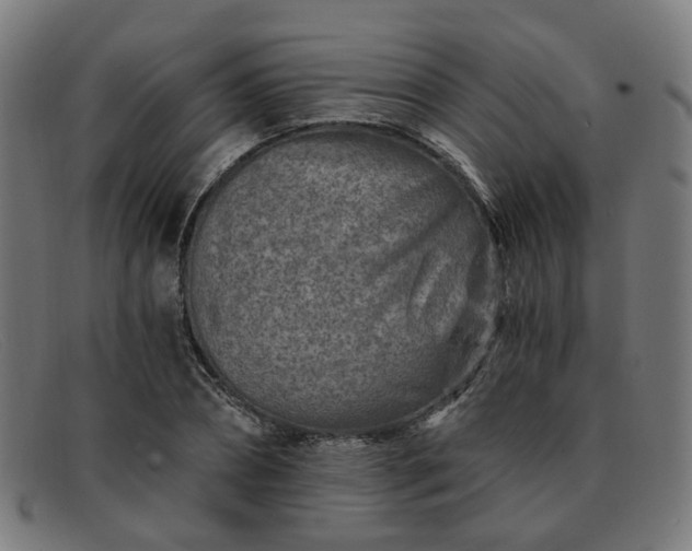 X0000091900882200709121457