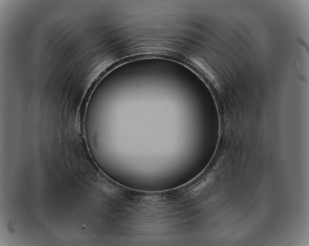 X0000091900883200709121457