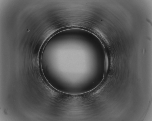 X0000091900884200709121457