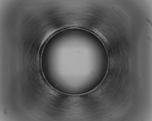 X0000091900886200709121457