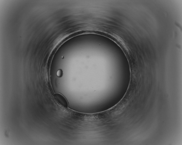 X0000091900887200709121457