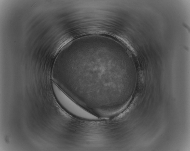 X0000091900889200709121457