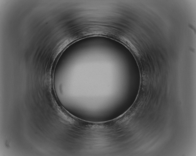 X0000091900890200709121457