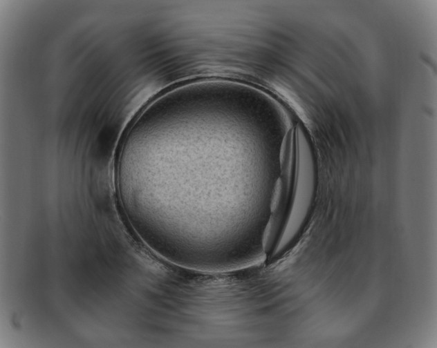 X0000091900891200709121457