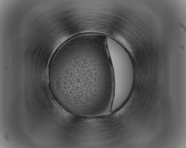 X0000091900892200709121457