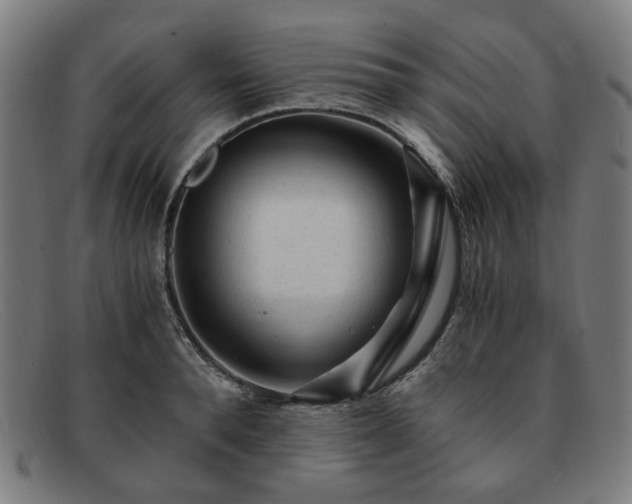 X0000091900896200709121456