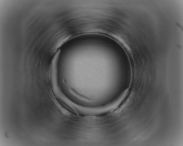 X0000091900897200709121456