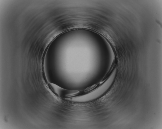 X0000091900898200709121456