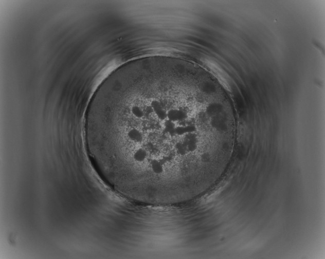 X0000091900899200709121456