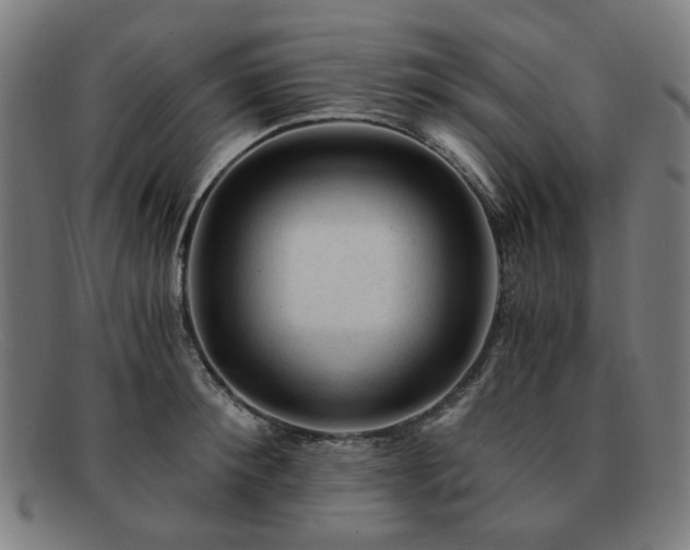 X0000091900900200709121456