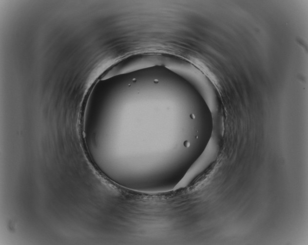 X0000091900901200709121456