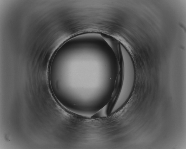 X0000091900902200709121456