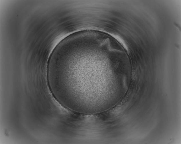 X0000091900903200709121456