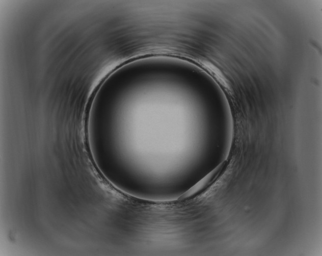 X0000091900904200709121456