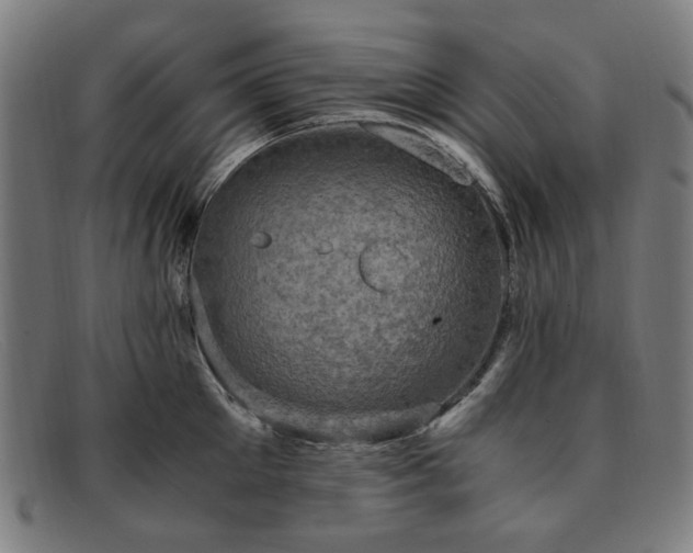 X0000091900905200709121456