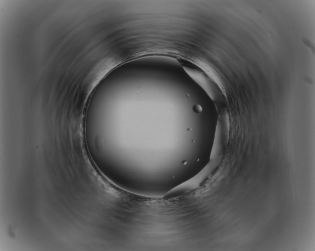 X0000091900906200709121456