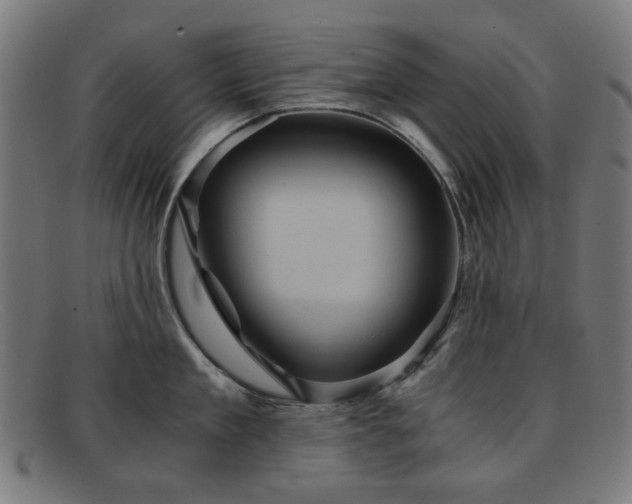 X0000091900909200709121456