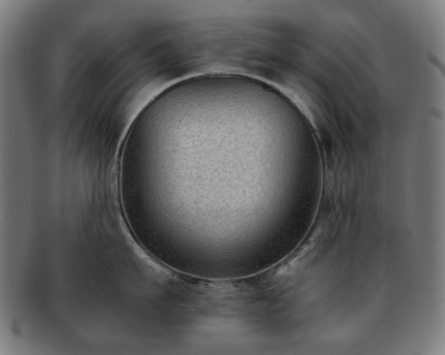 X0000091900911200709121456