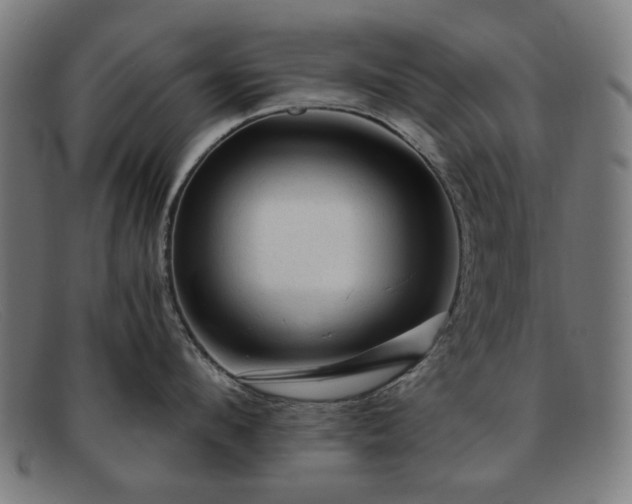 X0000091900912200709121456