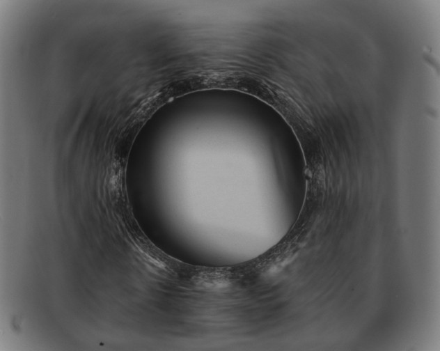 X0000091900914200709121456