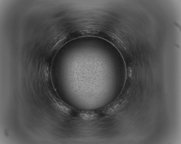 X0000091900915200709121456