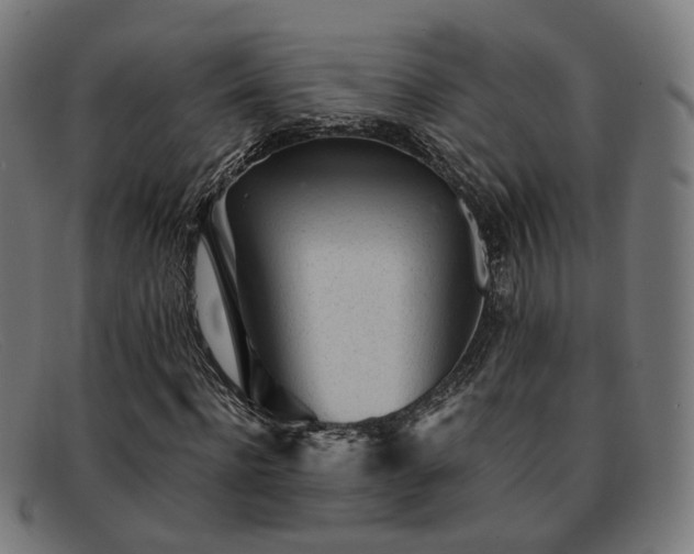 X0000091900916200709121456