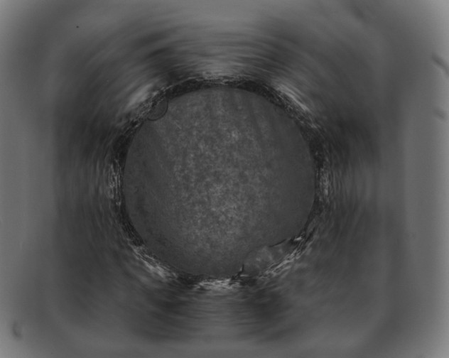 X0000091900917200709121456