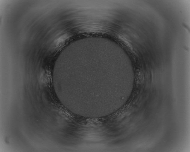 X0000091900918200709121456