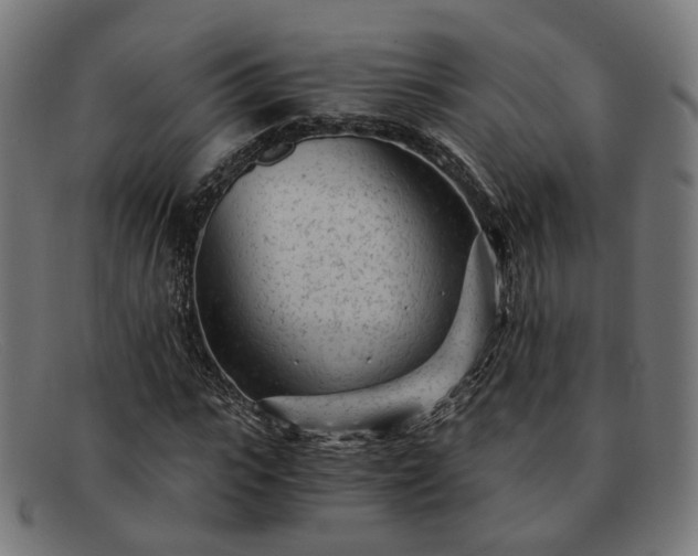 X0000091900919200709121456