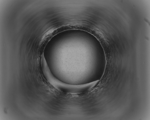 X0000091900920200709121456